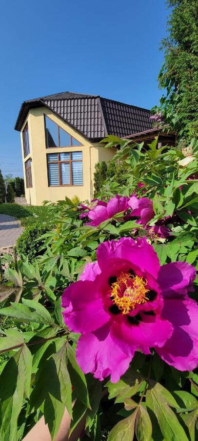Трушки34 Villa Trushki Buitenkant foto